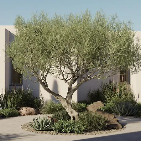 Elion Private Pool Cós